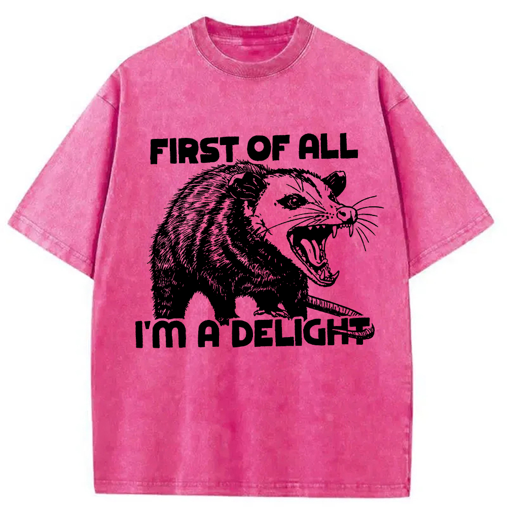 Modecanvas First of All Possum Washed T-Shirt