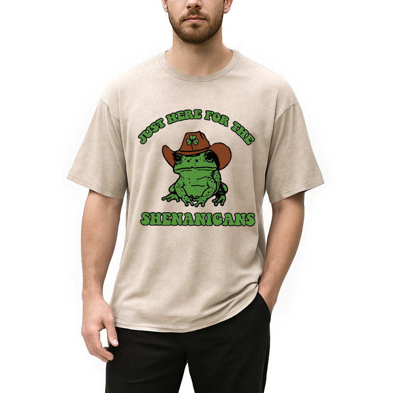 Modecanvas Here for the Shenanigans Washed T-Shirt
