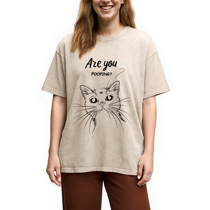 Modecanvas Black Cat Are You Pooping DTG Printing Washed T-Shirt
