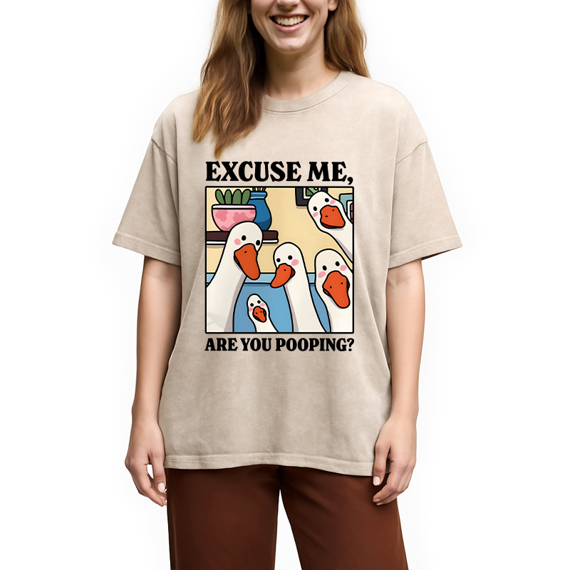 Modecanvas Are You Pooping Goose Meme DTG Printing Washed T-Shirt-modecanvas