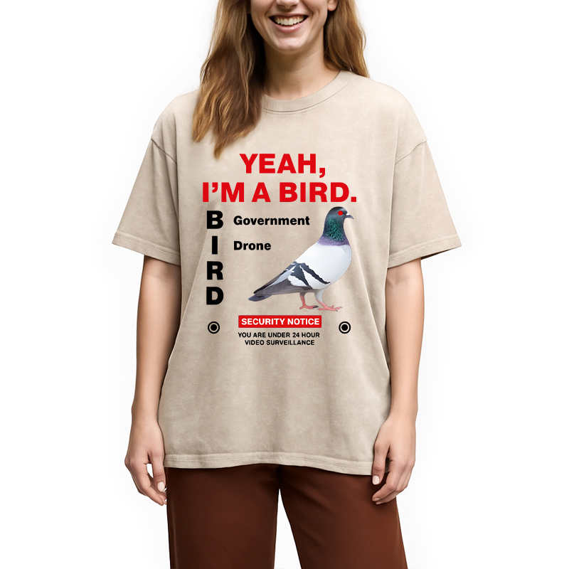 Modecanvas Government Funny Pigeon Puns DTG Printing Washed T-Shirt-modecanvas