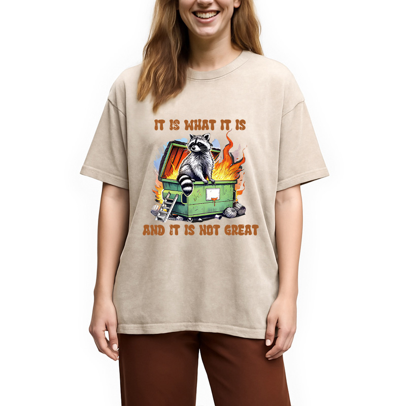 Modecanvas It is What Not Great Raccoon Meme DTG Printing Washed T-Shirt