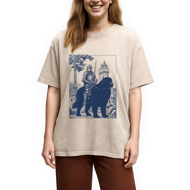 Modecanvas Knight Newfoundland Rider Vintage DTG Printing Washed T-Shirt