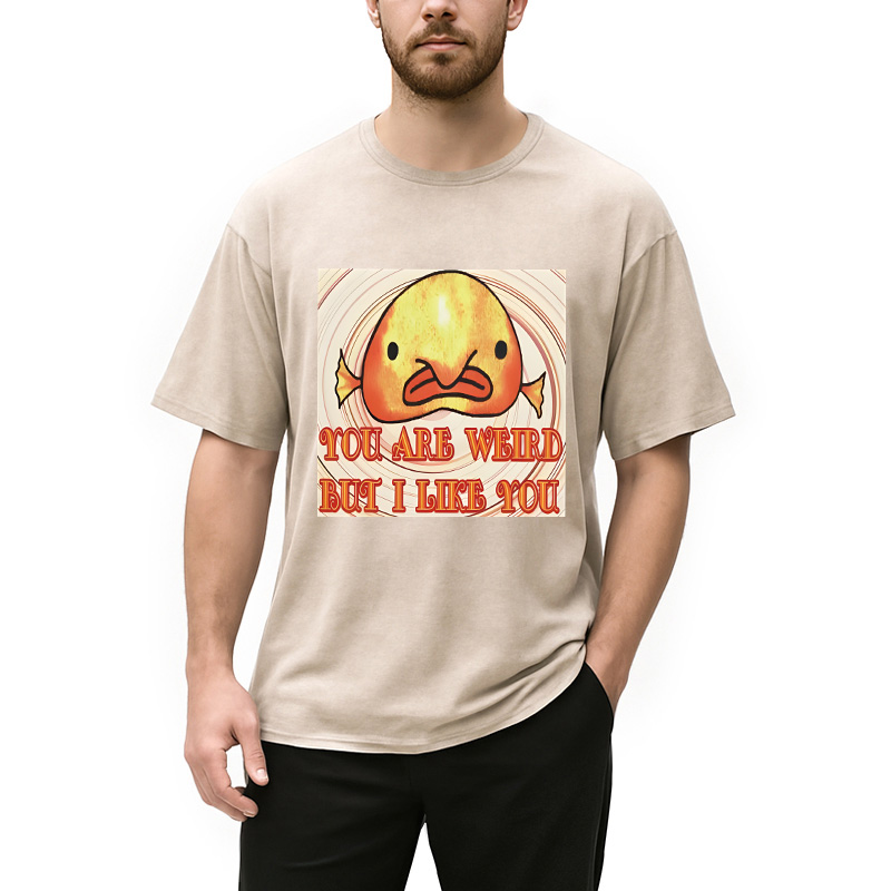 Modecanvas Odly Adorable Fish Meme DTG Printing Washed T-Shirt