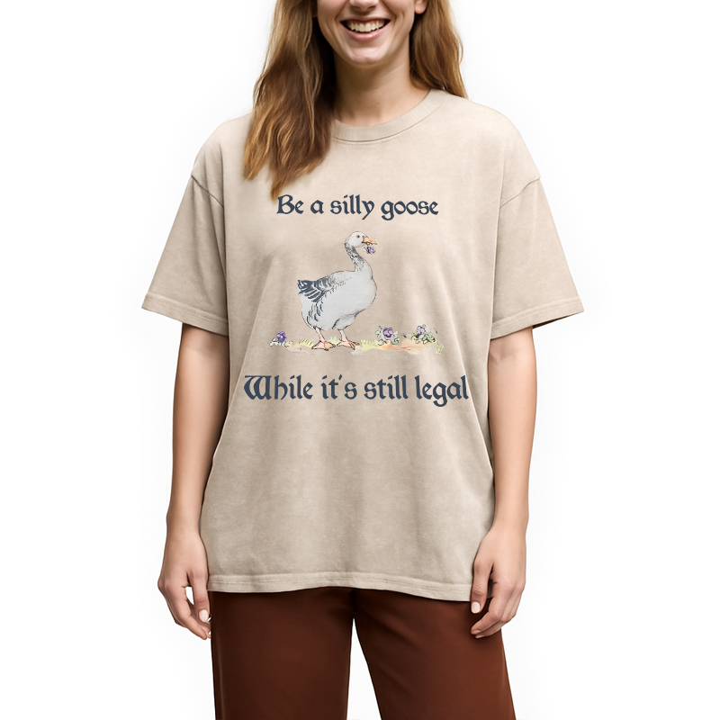 Modecanvas Be A Silly Goose DTG Printing Washed T-Shirt