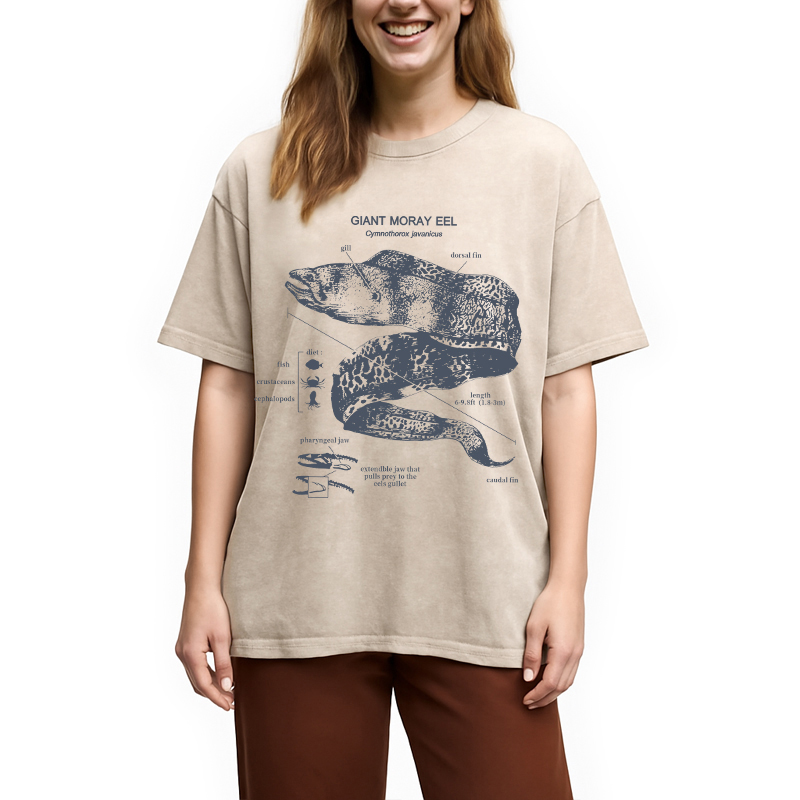 Modecanvas Moray Eel Anatomy Vintage DTG Printing Washed T-Shirt