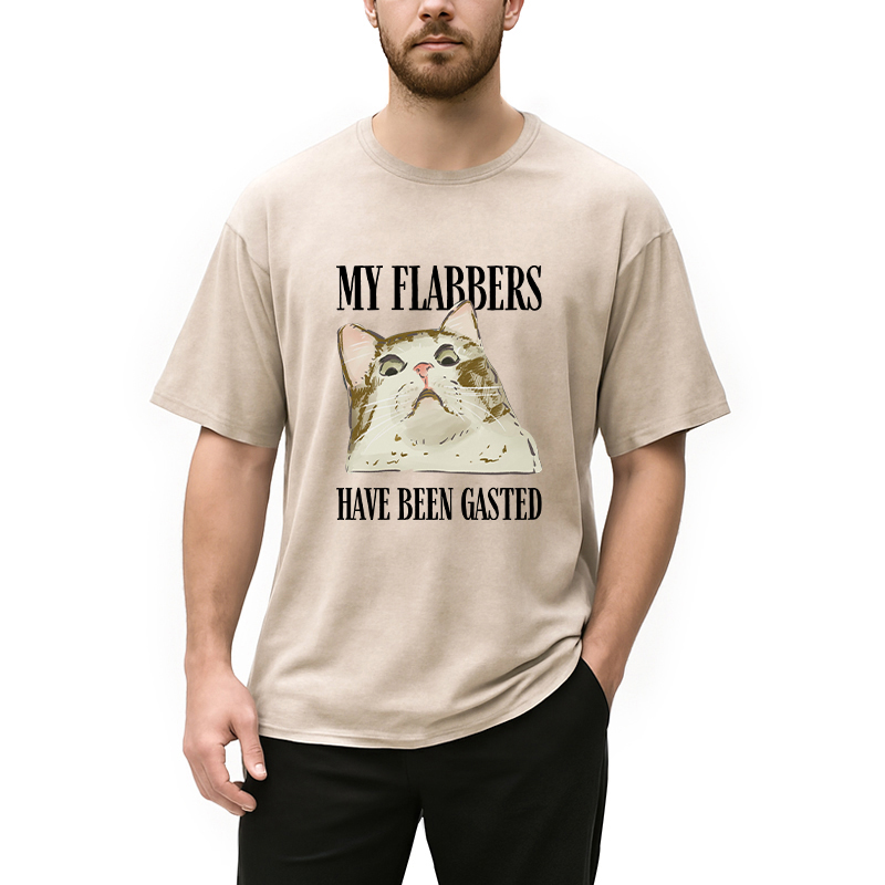 Modecanvas My Flabbers Have Been Gasted Cat Meme DTG Printing Washed T-Shirt