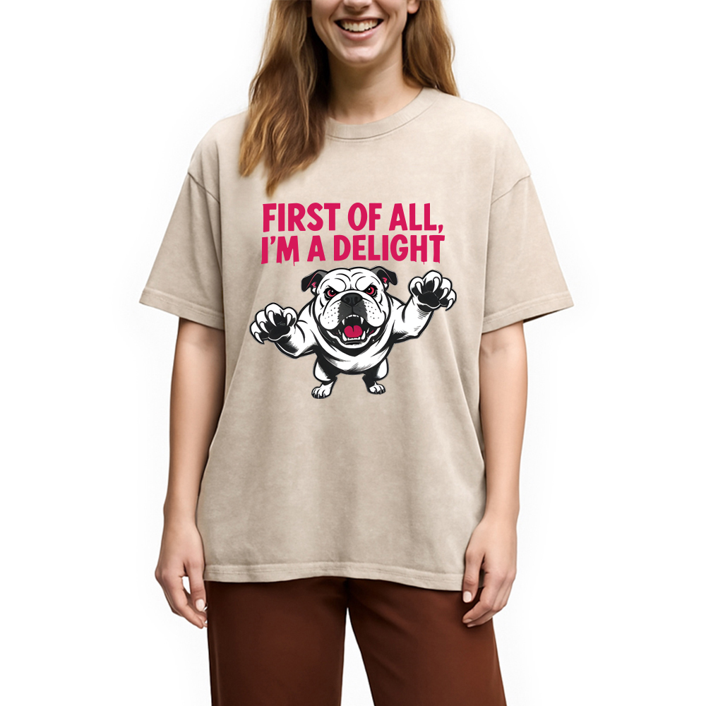 Modecanvas Fierce Bulldog Delight DTG Printing Washed T-Shirt