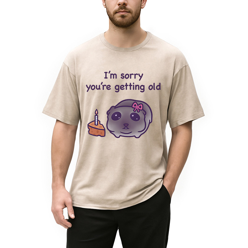 Modecanvas Sad Hamster Birthday Meme DTG Printing Washed T-Shirt
