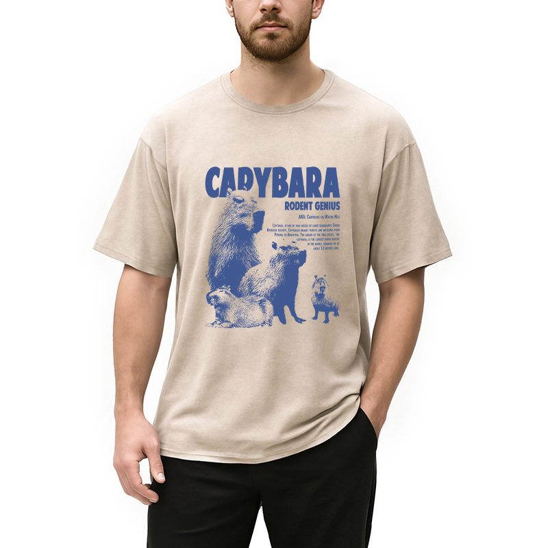 Modecanvas Capybara Vintage DTG Printing Washed T-Shirt