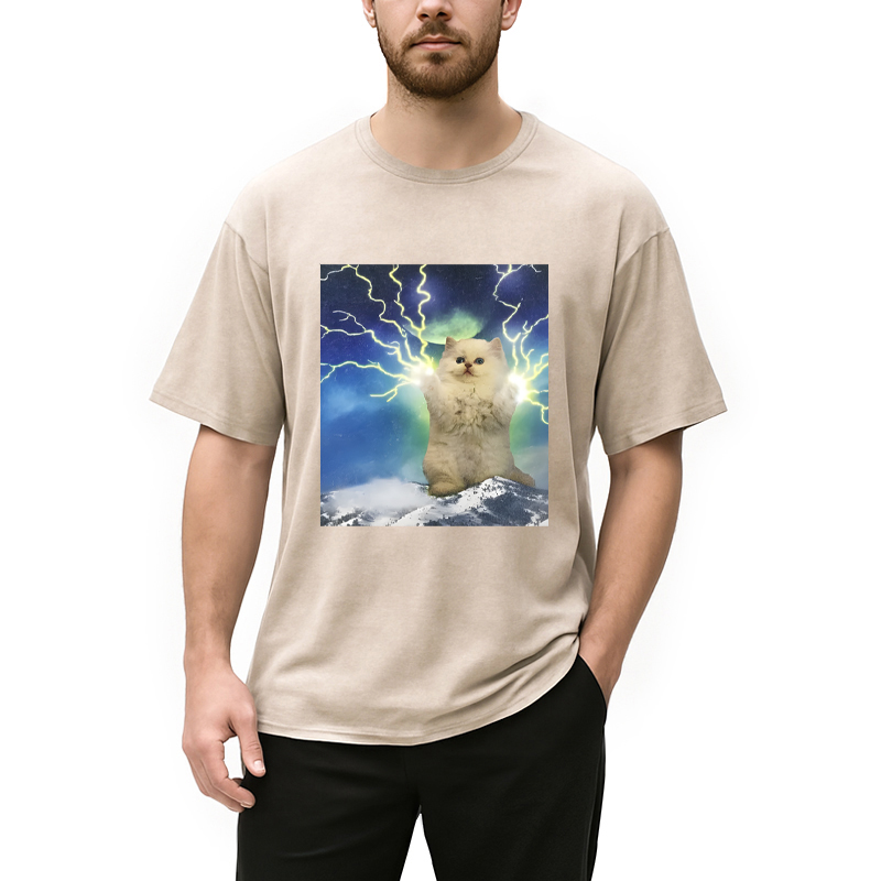 Modecanvas Lightning Cat DTG Printing Washed T-Shirt