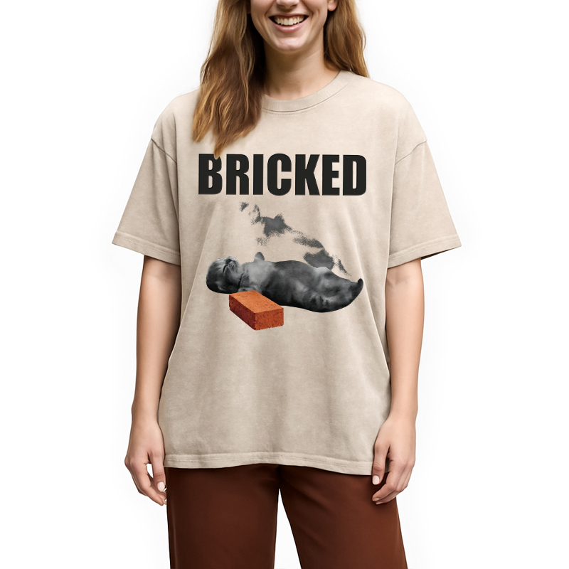 Modecanvas Bricked Funny Cat Knocked Out DTG Printing Washed T-Shirt