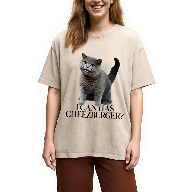 Modecanvas I Can Has Cheezburger Washed T-Shirt