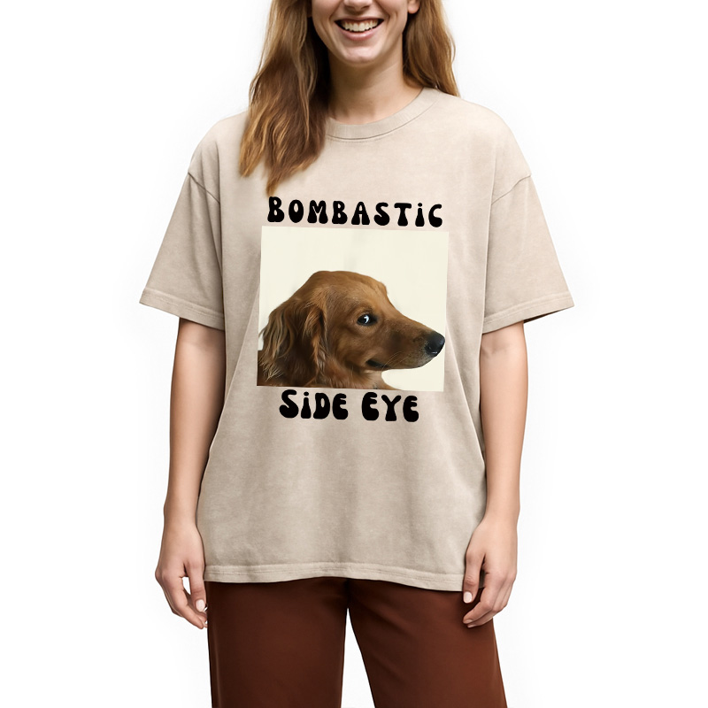 Modecanvas Bombastic Side Eye Funny Dog Meme Washed T-Shirt