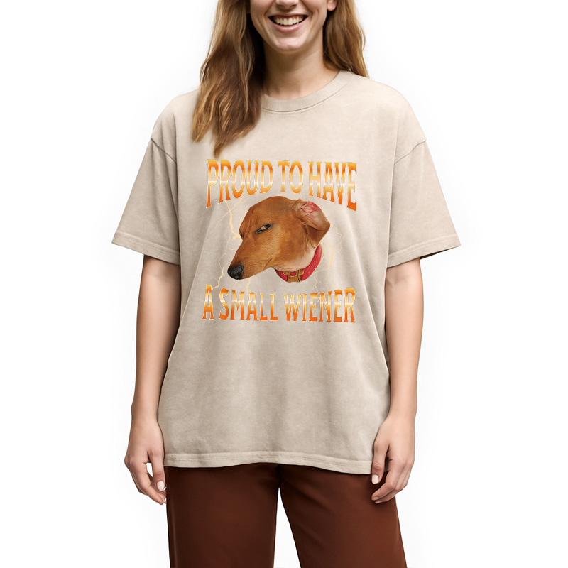 Modecanvas Funny Dog Meme Washed T-Shirt