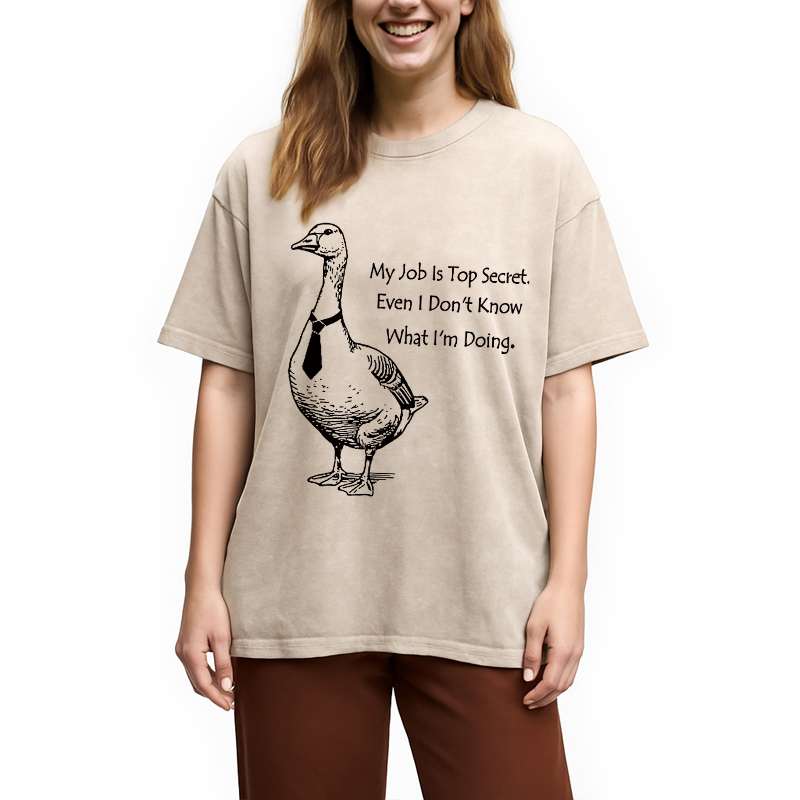 Modecanvas Serious Goose Funny Washed T-Shirt