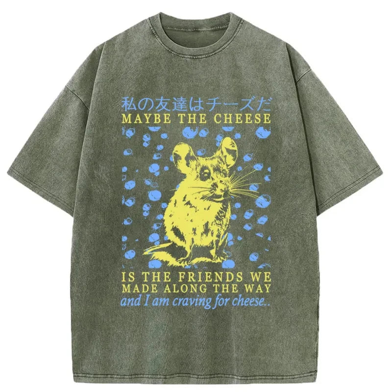 Modecanvas My Friend Is Cheese Washed T-Shirt