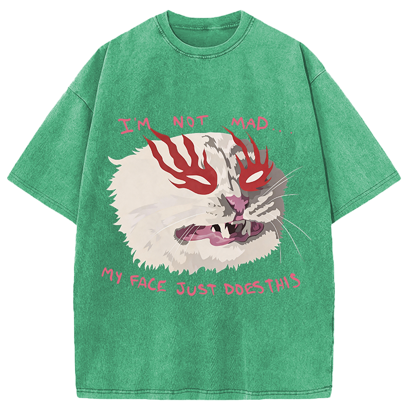Modecanvas I'm Not Mad DTG Printing Washed T-Shirt