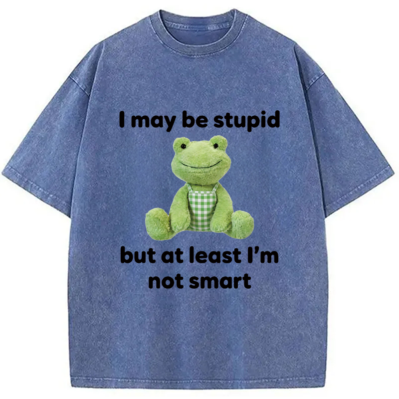 Modecanvas I May Be Stupid Alcohol Lover DTG Printing Washed T-Shirt