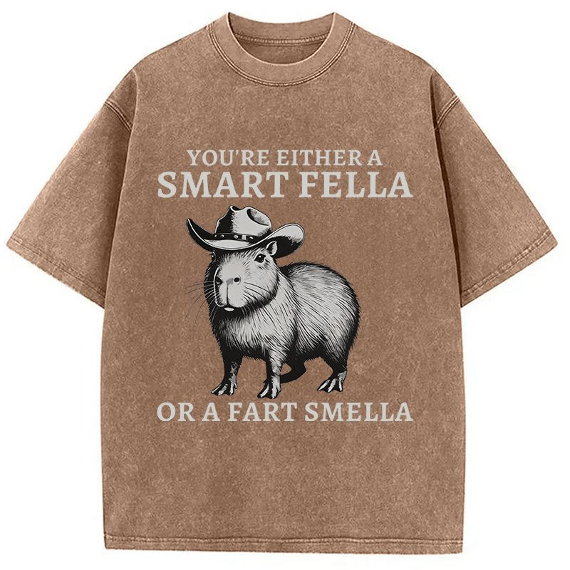 Modecanvas Retro Smart Fella Capybara 90s Washed T-Shirt
