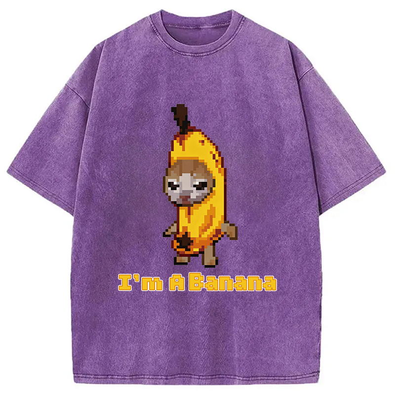 Modecanvas Banana Cat DTG Printing Washed T-Shirt
