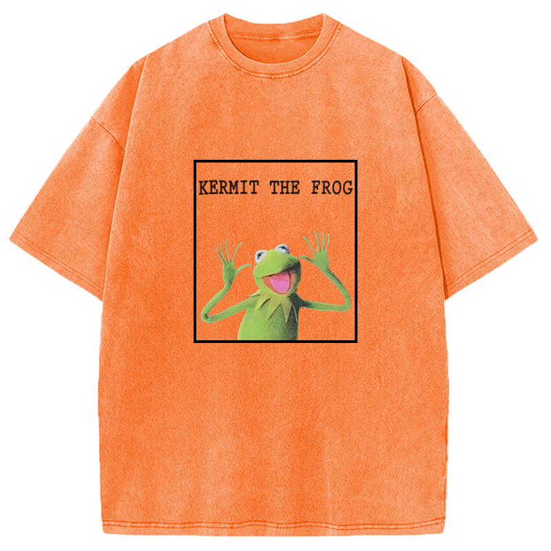 Modecanvas The Frog Meme Washed T-Shirt