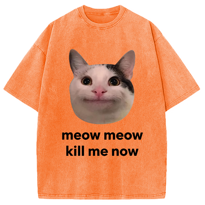 Modecanvas Meow Meow Kill Me Now Polite Cat Meme DTG Printing Washed T-Shirt