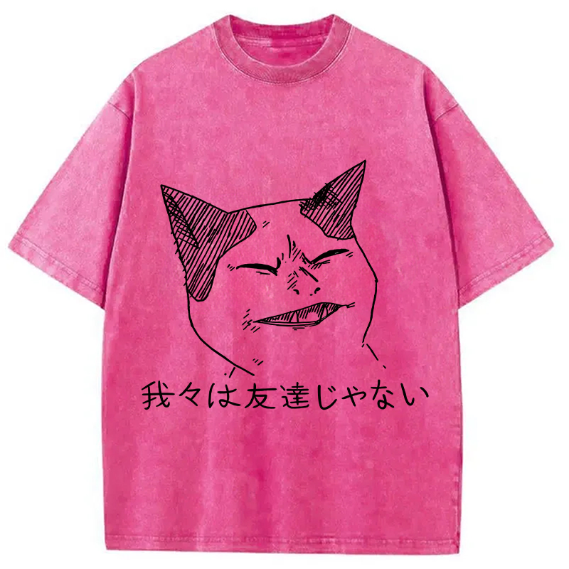 Modecanvas Angry Cat Funny Washed T-Shirt