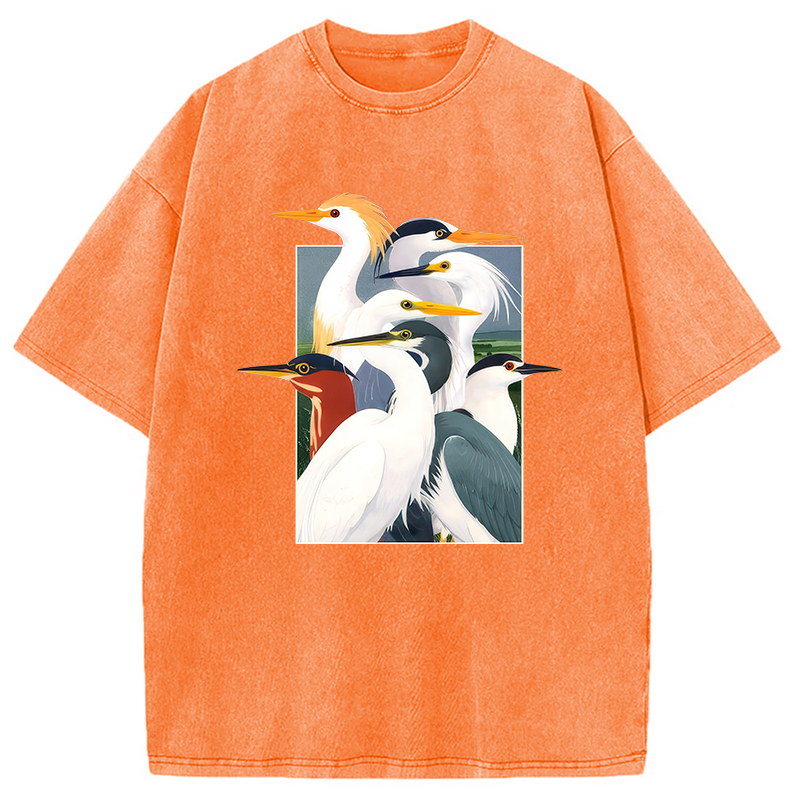 Modecanvas Wetland Assembly DTG Printing Washed T-Shirt