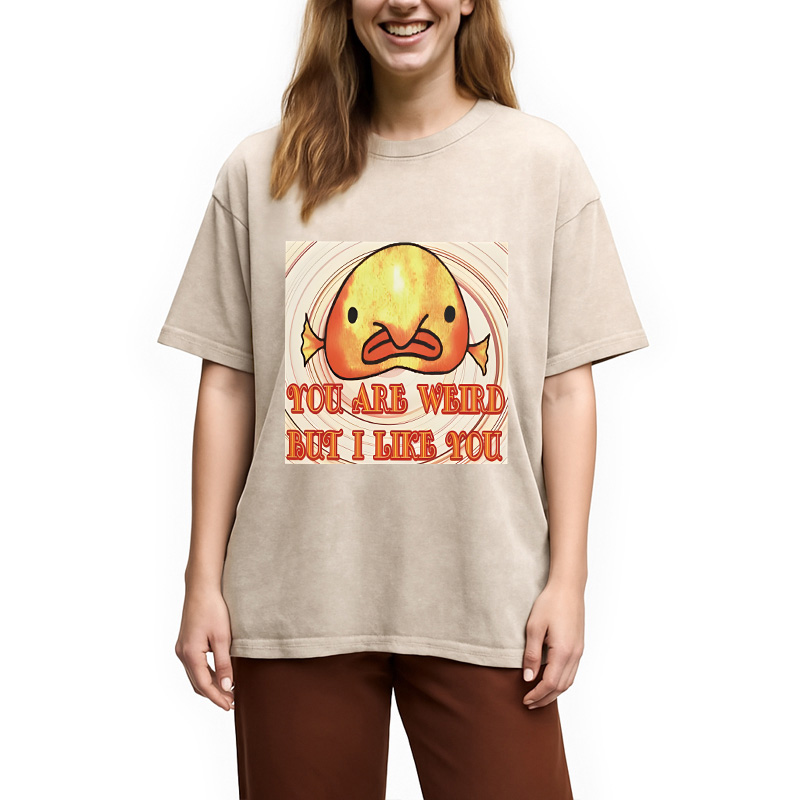 Modecanvas Odly Adorable Fish Meme DTG Printing Washed T-Shirt