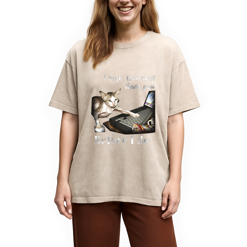 Modecanvas Funny Send Mail Cat Meme DTG Printing Washed T-Shirt