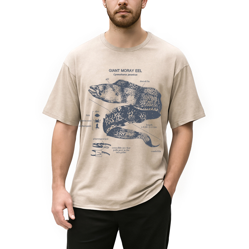 Modecanvas Moray Eel Anatomy Vintage DTG Printing Washed T-Shirt