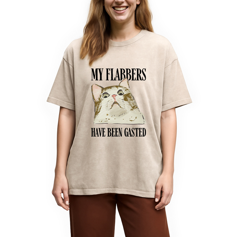 Modecanvas My Flabbers Have Been Gasted Cat Meme DTG Printing Washed T-Shirt