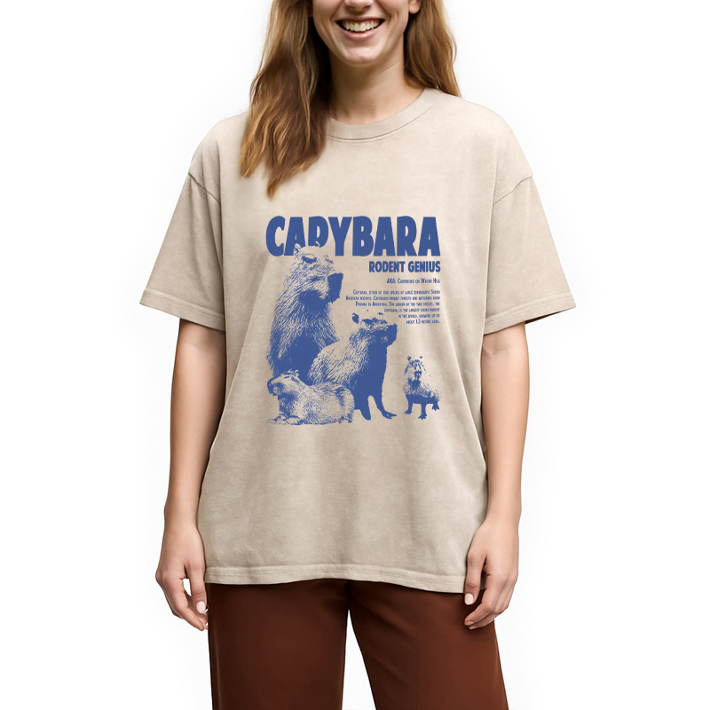 Modecanvas Capybara Vintage DTG Printing Washed T-Shirt