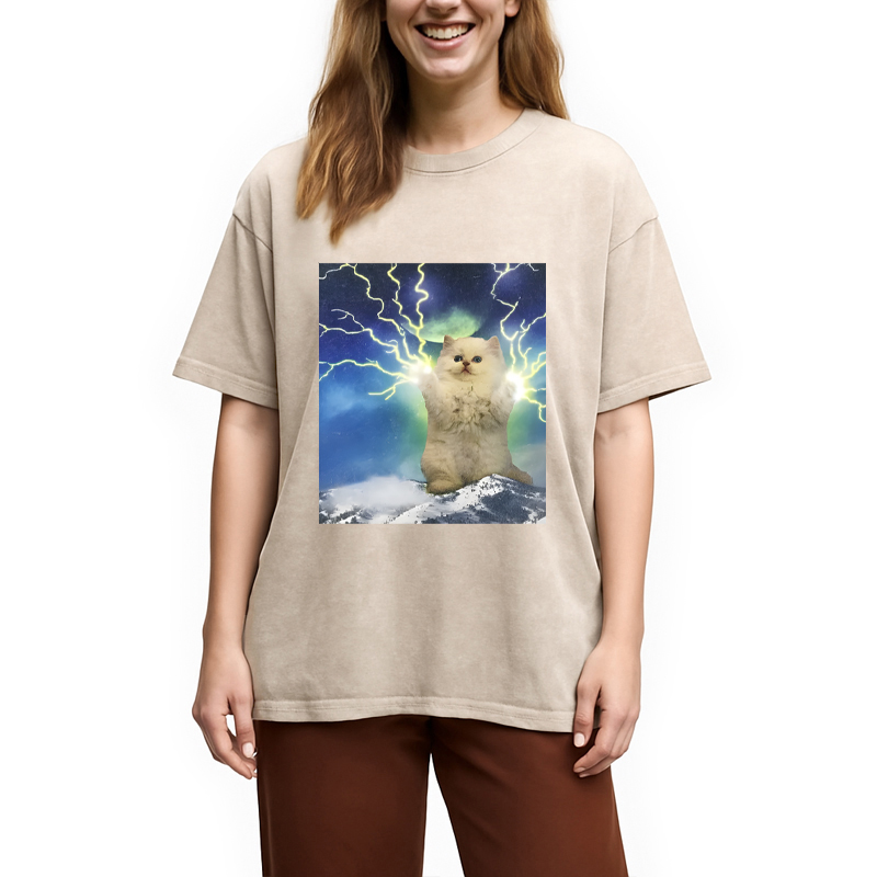 Modecanvas Lightning Cat DTG Printing Washed T-Shirt