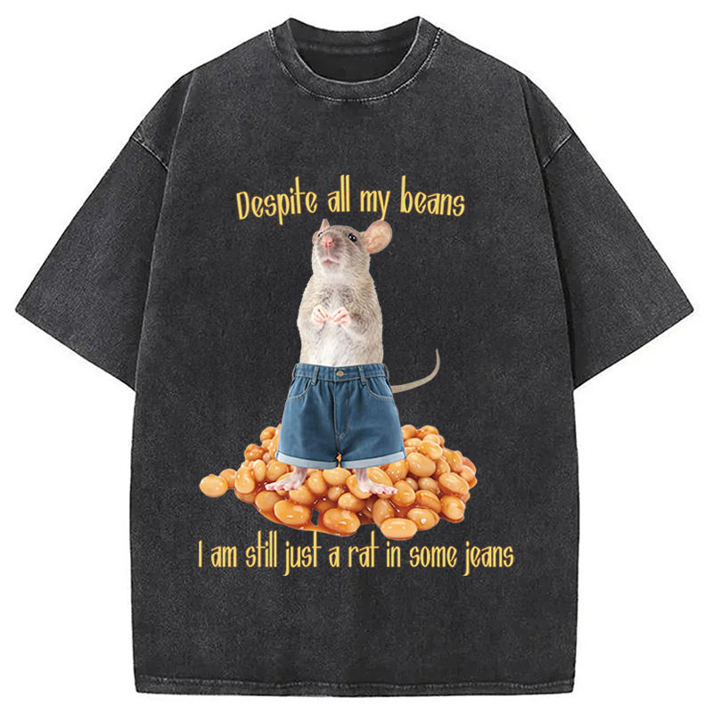 Modecanvas Despite All My Beans DTG Printing Washed T-Shirt