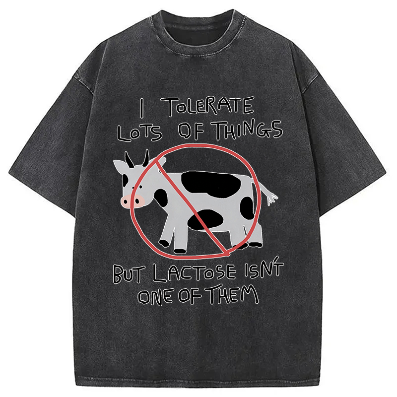 Modecanvas I Tolerate Lots Of Things DTG Printing Washed T-Shirt