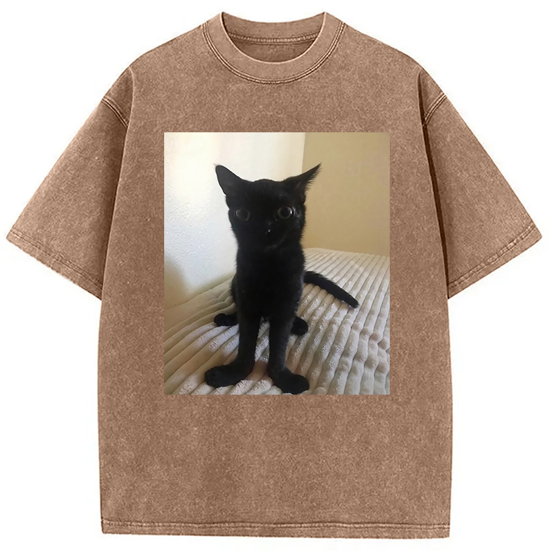 Modecanvas Big Foot Jinx Black Cat Washed T-Shirt