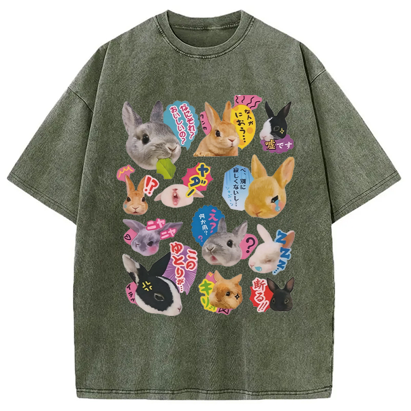 Modecanvas Japanese Bunny DTG Printing Washed T-Shirt