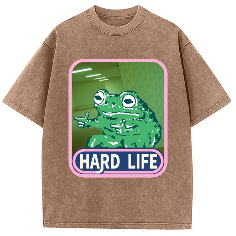 Modecanvas The Backrooms Hard Life Frog Washed T-Shirt