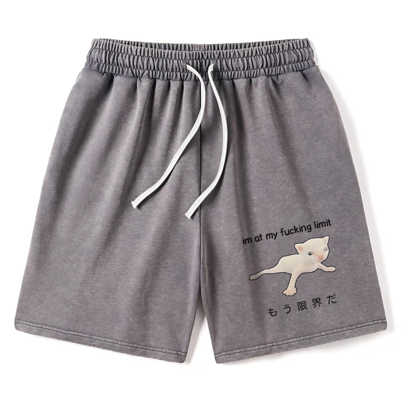 Modecanvas Cat Reaching Its Limit Washed Short
