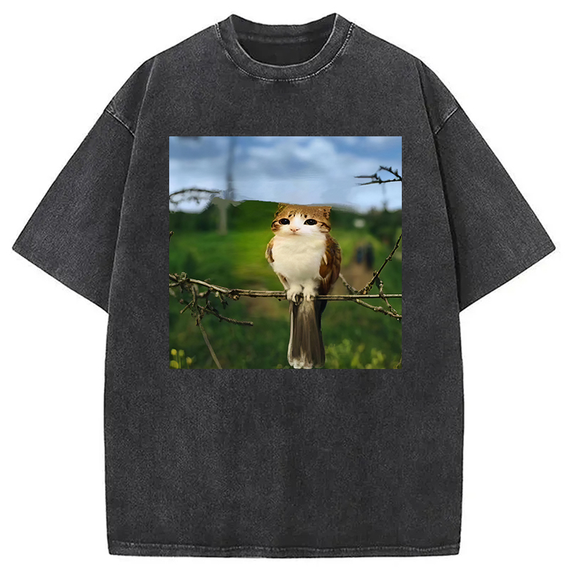 Modecanvas Funny Cat Owl Meme DTG Printing Washed T-Shirt