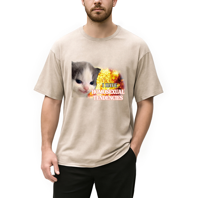 Modecanvas I Have Homosexual Tendencies Evil Kitty Meme DTG Printing Washed T-Shirt