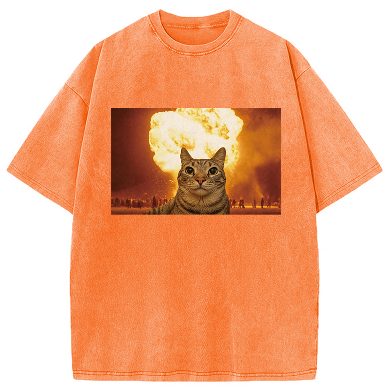 Modecanvas Cat Explosion Brain Rot DTG Printing Washed T-Shirt