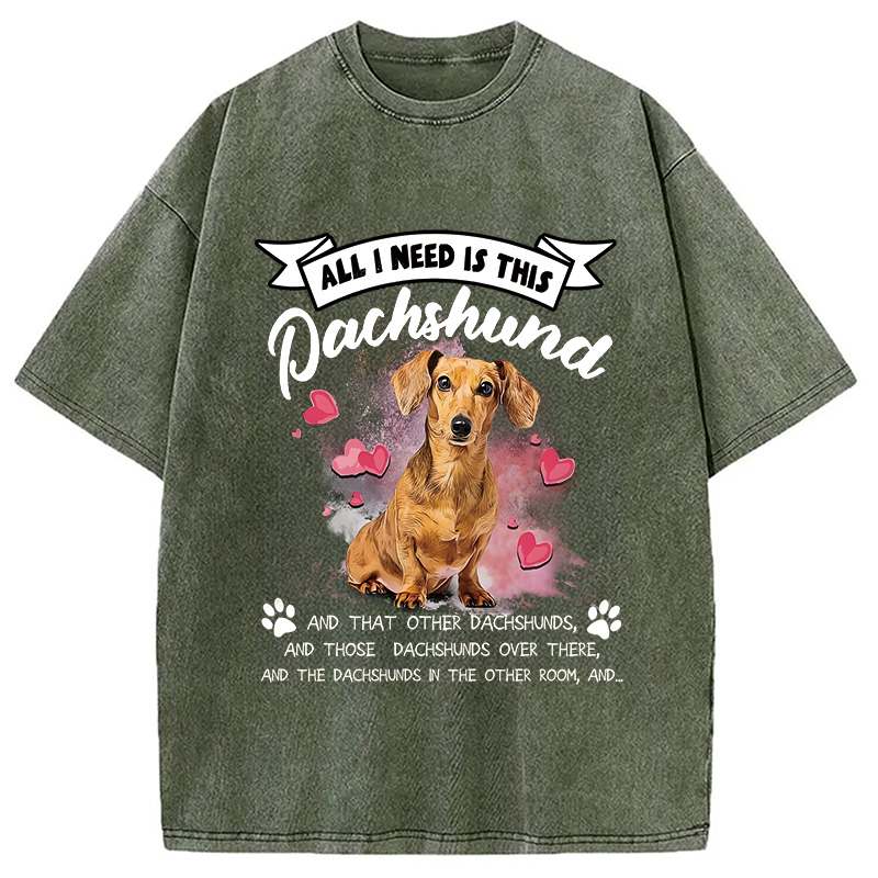 Modecanvas All I Need This Washed T-Shirt