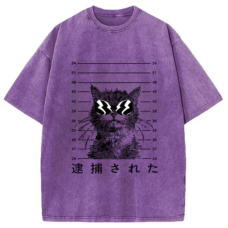 Modecanvas Cat Was Arrested  Washed T-Shirt