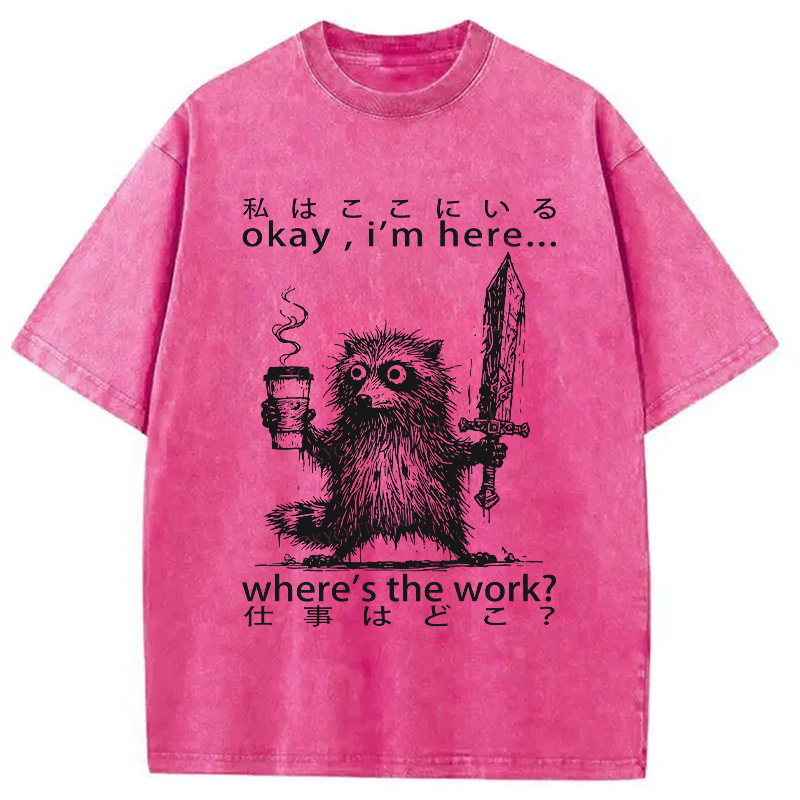 Modecanvas Raccoon Ready To Work Washed T-Shirt