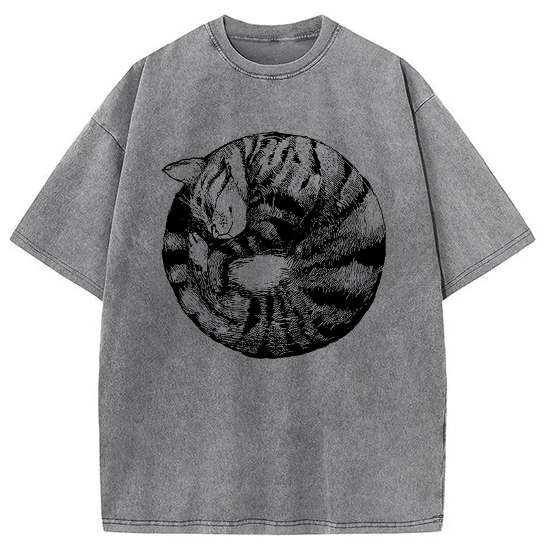 Modecanvas A Plate Of Cat Washed T-Shirt