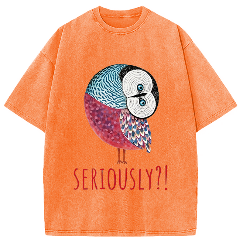 Modecanvas Seriously Art Owl DTG Printing Washed T-Shirt