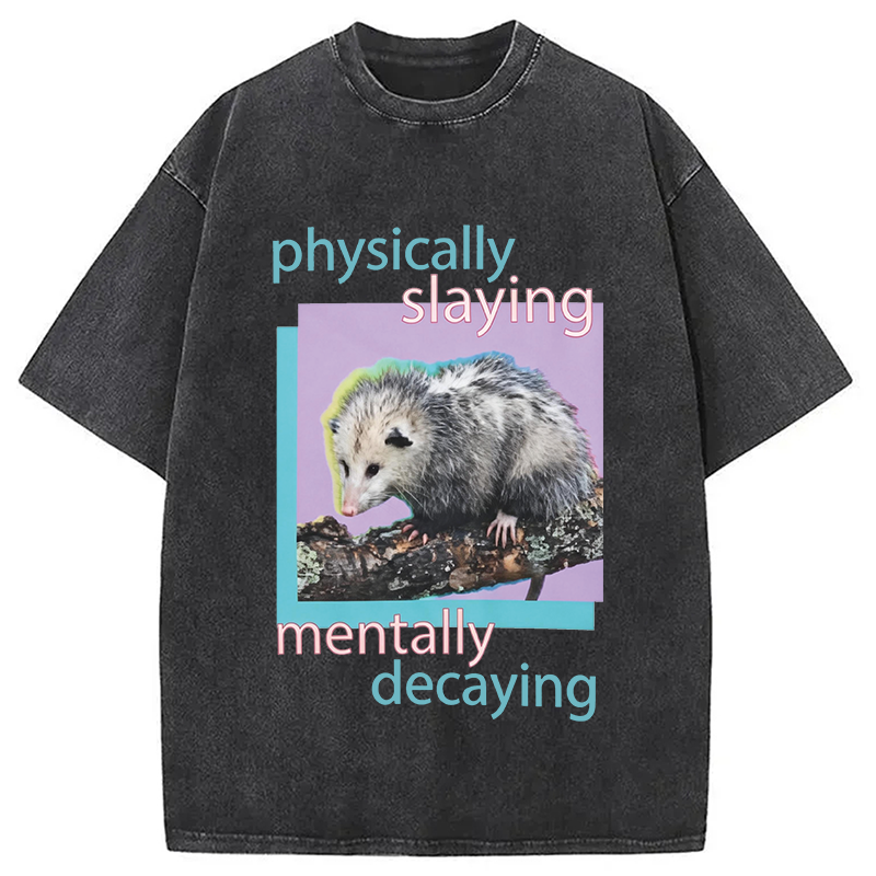 Modecanvas Physically Slaying Mentally Decaying DTG Printing Washed T-Shirt